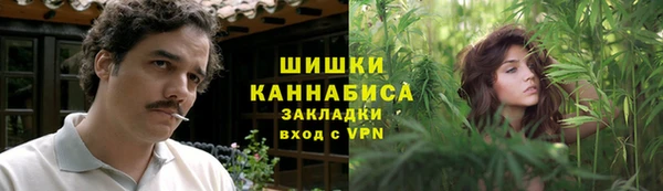 винт Алзамай
