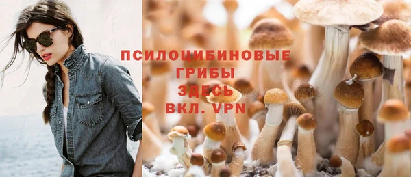 винт Алзамай