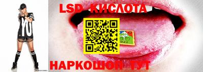 молекула духа Ковров