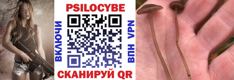 Галлюциногенные грибы Psilocybine cubensis даркнет наркотические препараты Белорецк